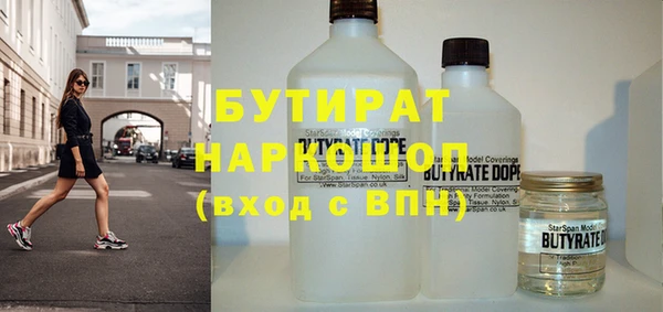 индика Алексин