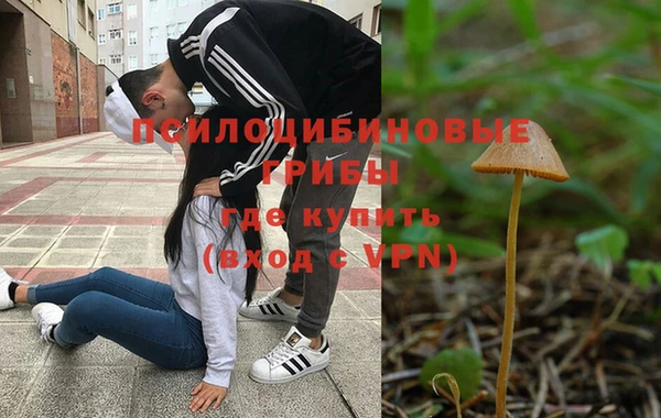 MDMA Алексеевка