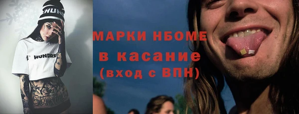 индика Алексин