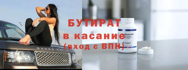 индика Алексин