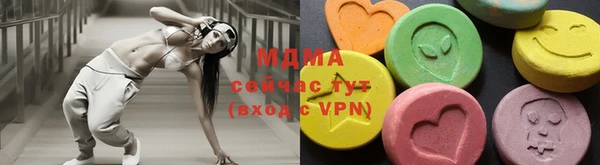 индика Алексин