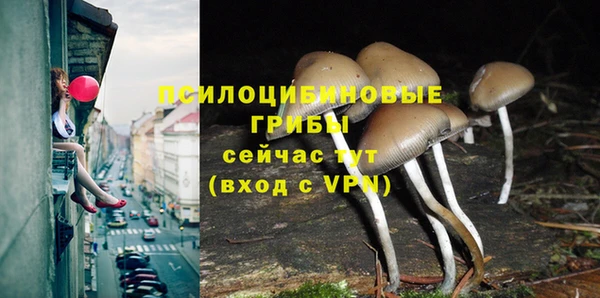 спиды Алзамай