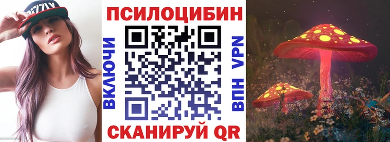 Купить закладки  Тырныауз  Псилоцибиновые грибы GOLDEN TEACHER 