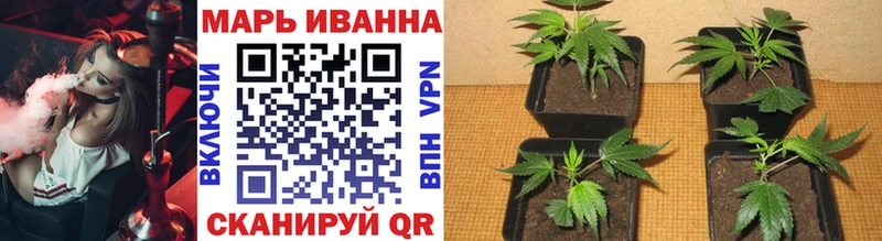 Купить закладки  Тырныауз  Каннабис тримм 